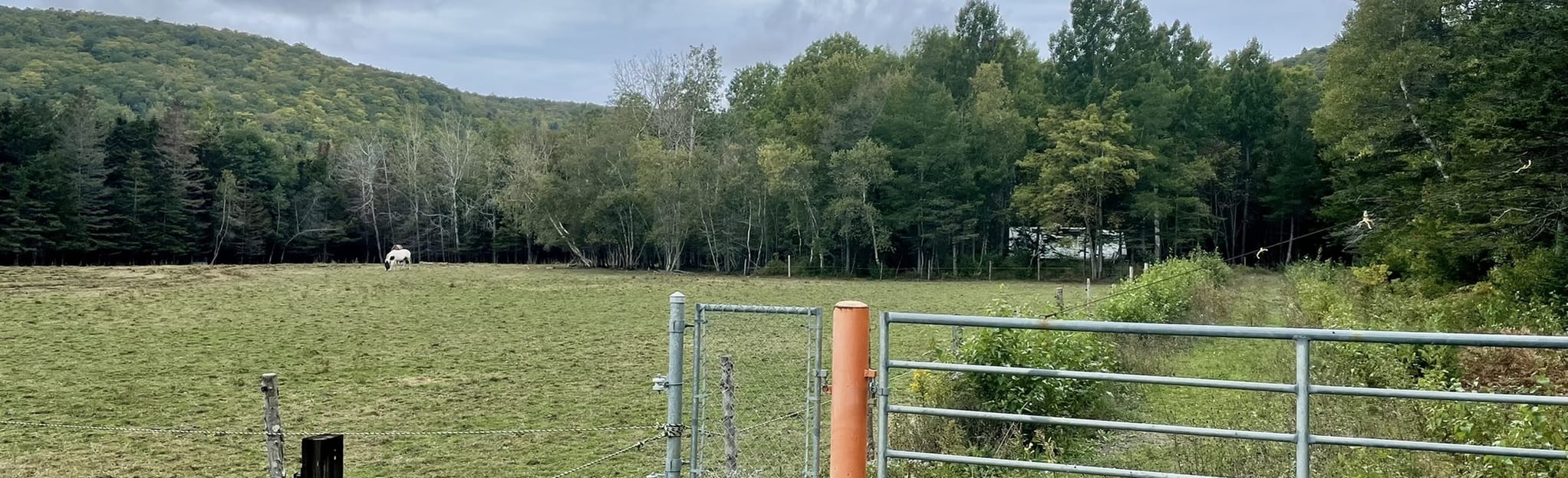 Porcupine Rock [PRIVATE PROPERTY], Nova Scotia, Canada 35 Reviews