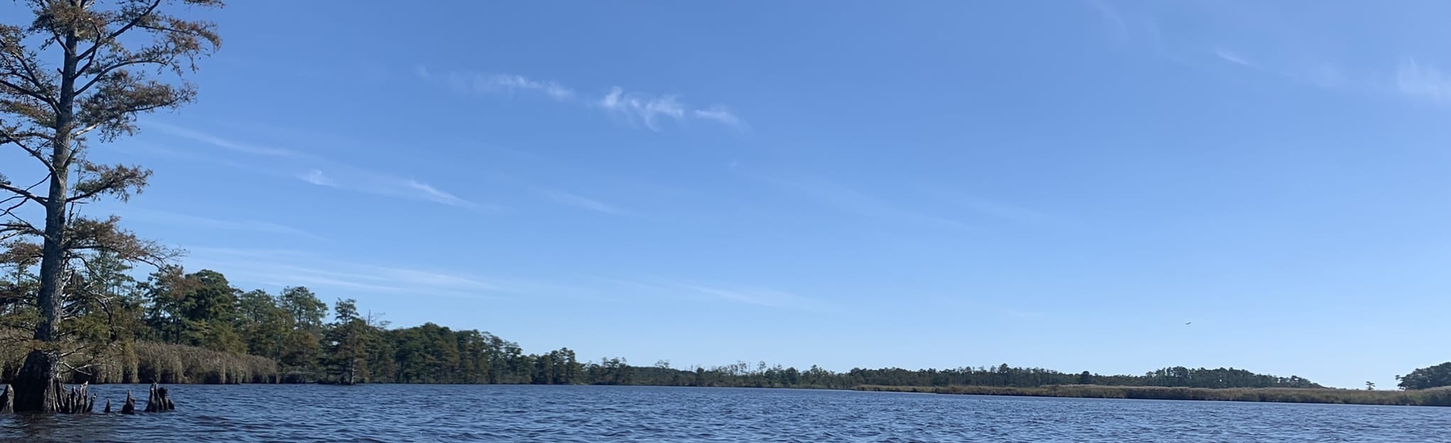 Pungo Ferry Bridge to Blackwater Paddle 4 Reviews, Map Virginia AllTrails