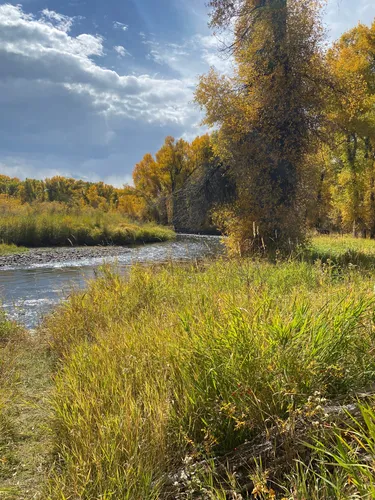 22+ Elevation Of Gunnison Colorado