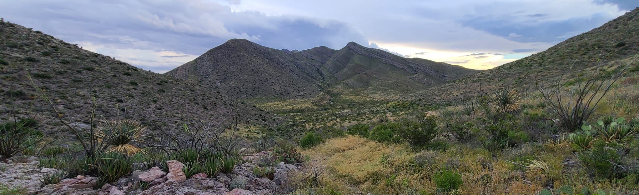 Anthony Gap Northern Pass Loop Trail, New Mexico 110 Reviews, Map