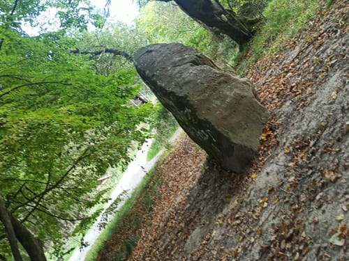 Kaufunger Wald 31: Rundweg Mühlenberg