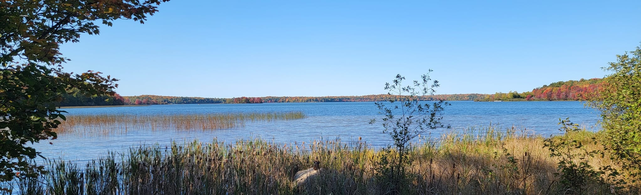 Hidden Lakes, Wisconsin 144 Reviews, Map AllTrails