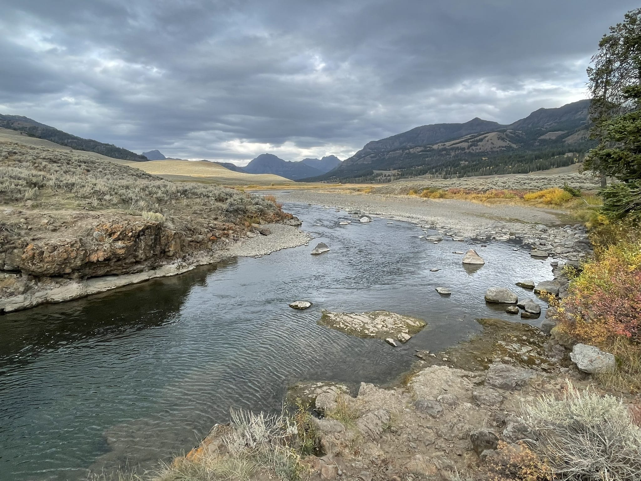 Lamar river trail best sale