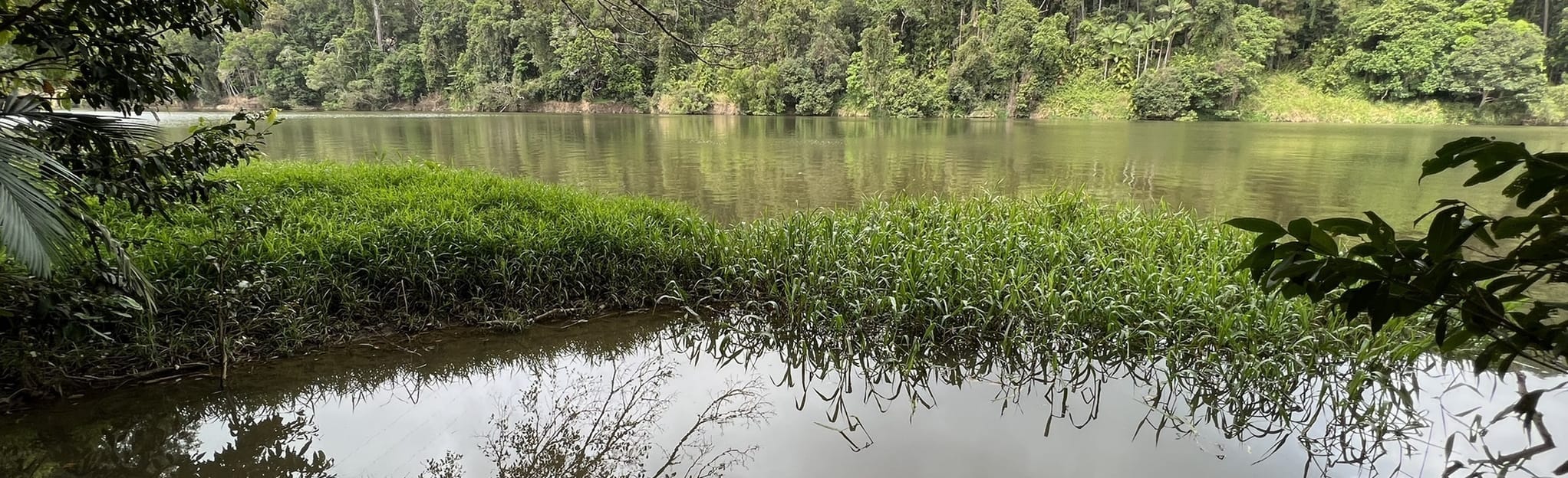 Kuranda Village, Barron Falls and River Walk 58 Reviews, Map