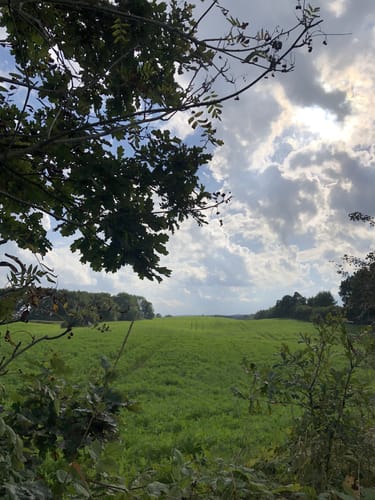 Zum Fresensee