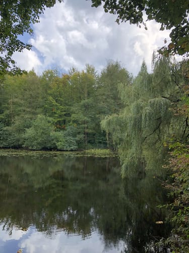 Zum Fresensee