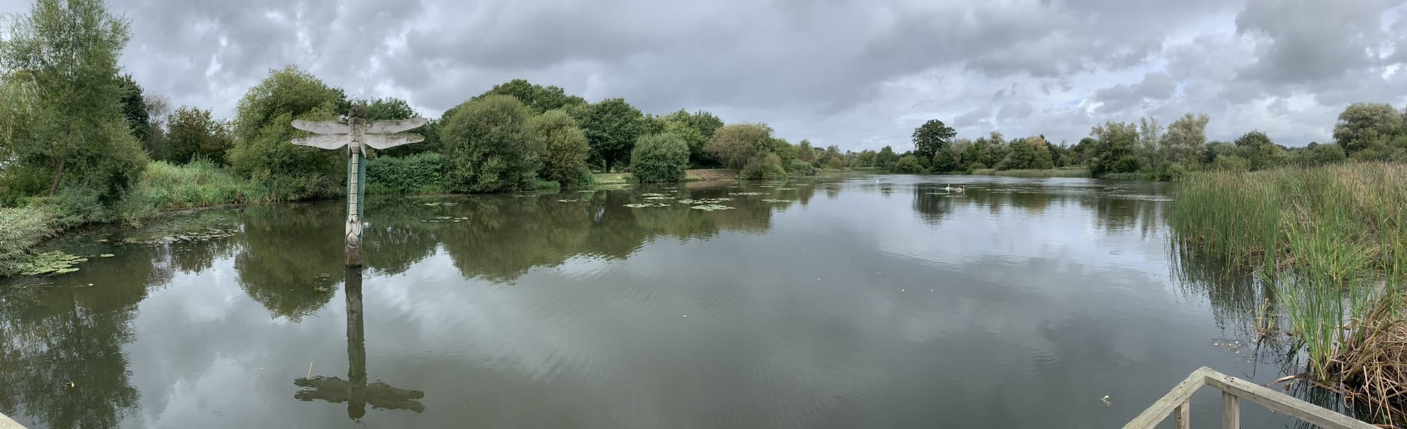 Moors Valley Country Park CIrcular 11 Reviews, Map Dorset, England