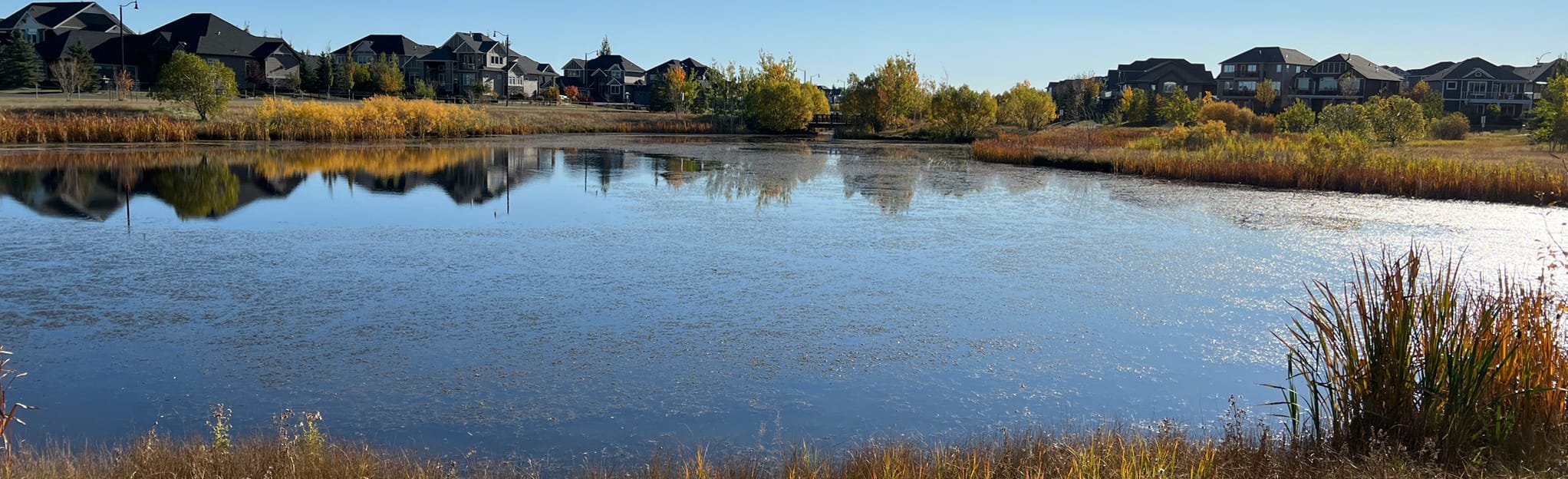 Cimarron Pond (Extended Loop) 22 Reviews, Map Alberta, Canada