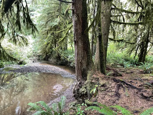 Best Dogs On Leash Trails in Silver - EyJidWNrZXQiOiJhc3NldHMuYWxsdHJhaWxzLmNvbSIsImtleSI6InVwbG9hZHMvcGhvdG8vaW1hZ2UvNDEwNzg5NzAvNDZhN2Q1ZjQ3NWRkODM2ZDhmNDY0YmZkNjk0YTQ0ODcuanBnIiwiZWRpdHMiOnsidG9Gb3JtYXQiOiJ3ZWJwIiwicmVzaXplIjp7IndpZHRoIjo1MDAsImhlaWdodCI6NTAwLCJmaXQiOiJpbnNpZGUifSwicm90YXRlIjpudWxsLCJqcGVnIjp7InRyZWxsaXNRdWFudGlzYXRpb24iOnRydWUsIm92ZXJzaG9vdERlcmluZ2luZyI6dHJ1ZSwib3B0aW1pc2VTY2FucyI6dHJ1ZSwicXVhbnRpc2F0aW9uVGFibGUiOjN9fX0=