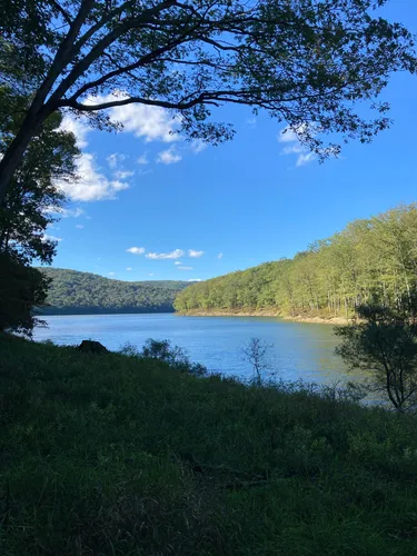 Best trails in clearance allegheny national forest