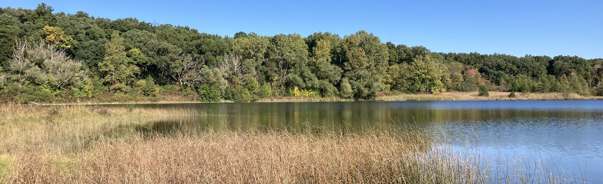 Dickinson Lake Paddle Trip 7 Reviews, Map Michigan AllTrails