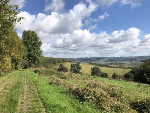 Heldrastein P6 (Premiumwanderweg)