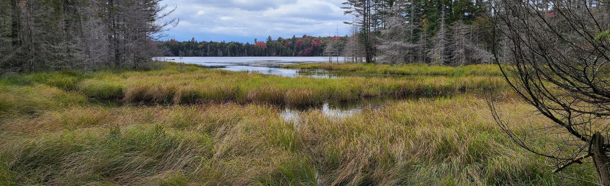 Little Woodhull Lake Trail, New York 32 Reviews, Map AllTrails