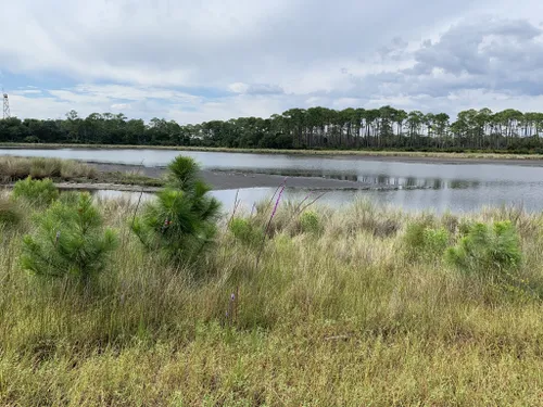 10 Best Hikes and Trails in St Marks National Wildlife Refuge | AllTrails