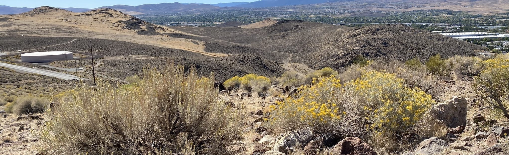 Rattle Snake Mountain 325 Reviews, Map Nevada AllTrails