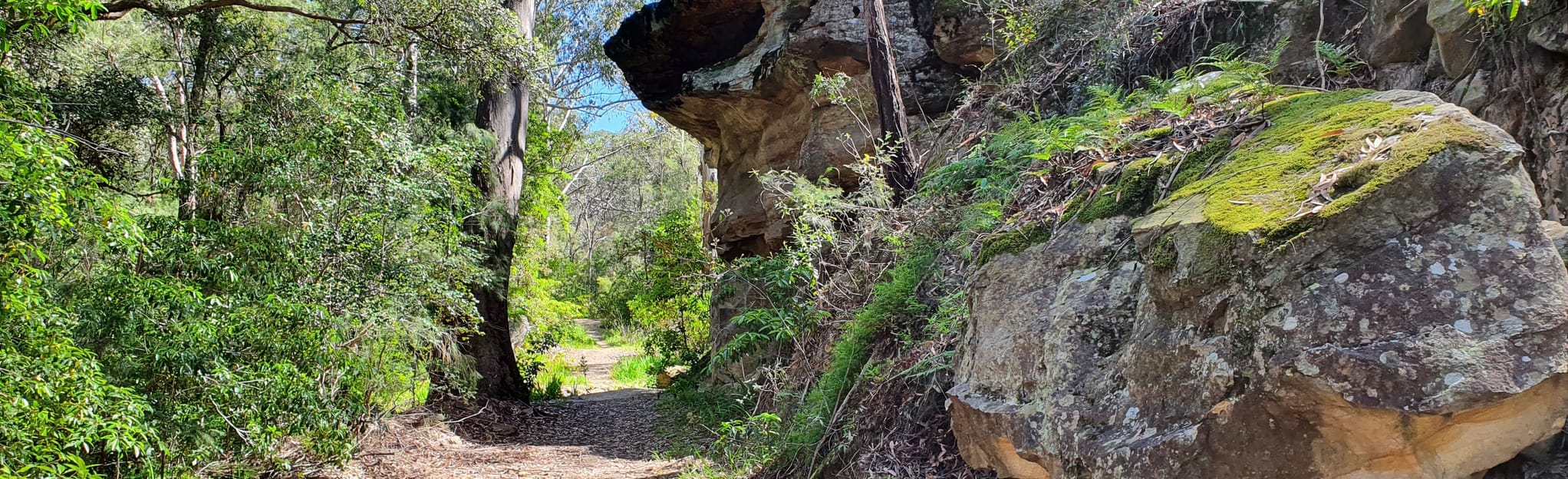 AllTrails River and Wills Road Loop 8 Reviews, Map New