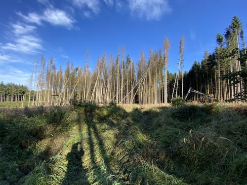Laubach Nordic-Walking-Route 3: Engelsburg