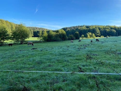 Laubach Nordic-Walking-Route 3: Engelsburg