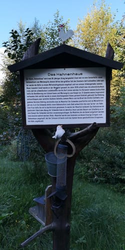 Vogtland Panorama Weg Etappe 11: Vogelsgrün - Lengenfeld