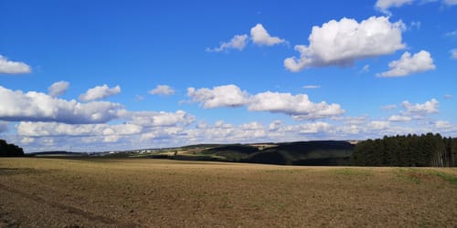 Vogtland Panorama Weg Etappe 11: Vogelsgrün - Lengenfeld