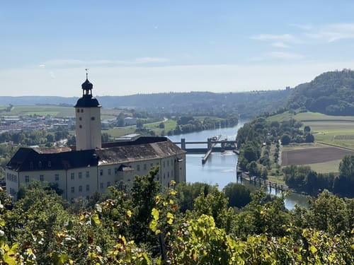 Von Gundelsheim entlang dem Neckar