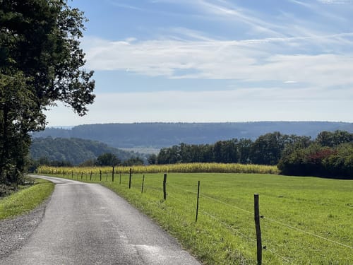 Von Gundelsheim entlang dem Neckar