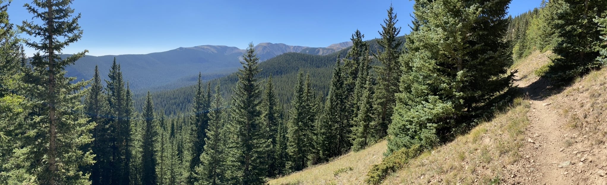 Horseshoe Lake Trail 60 Reviews, Map New Mexico AllTrails