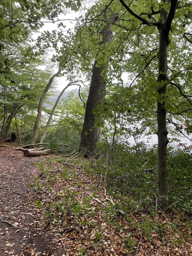 Großer und Kleiner Schierensee