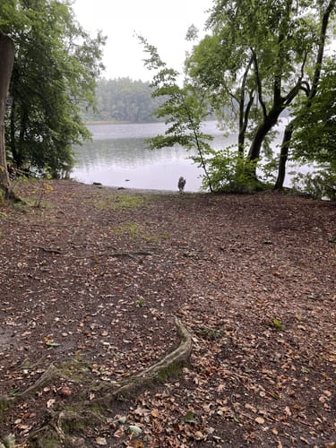 Großer und Kleiner Schierensee
