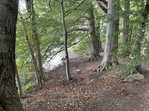 Großer und Kleiner Schierensee