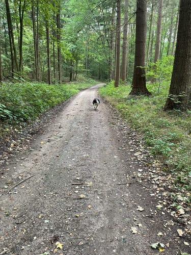 Großer und Kleiner Schierensee