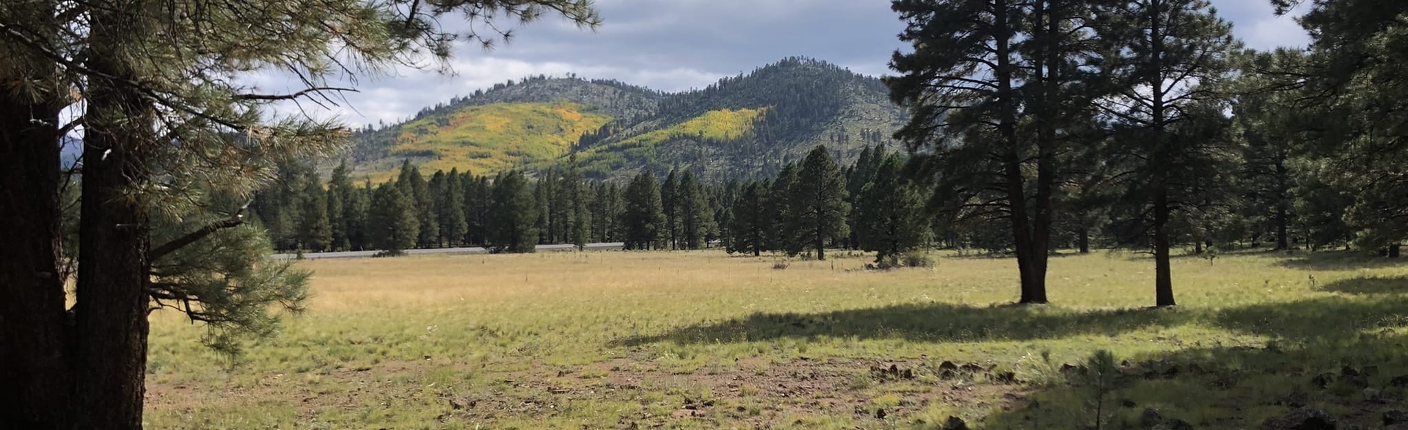 Kendrick Park Watchable Wildlife Long Trail 140 fotos Arizona