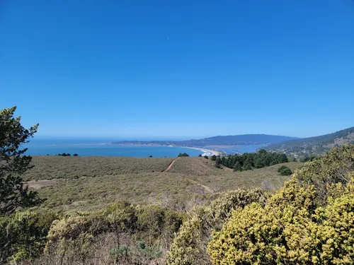 10 Best Waterfall Trails In Mount Tamalpais State Park Alltrails