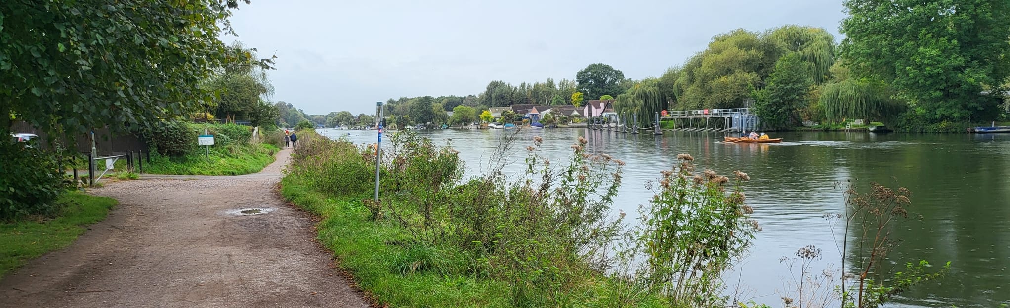 Shepperton to Bushy Park 37 Reviews, Map Surrey, England AllTrails