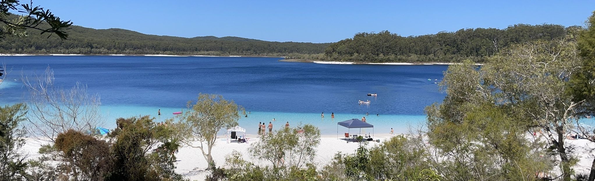 Lake McKenzie Circuit: 2 Reviews, Map - Queensland, Australia | AllTrails