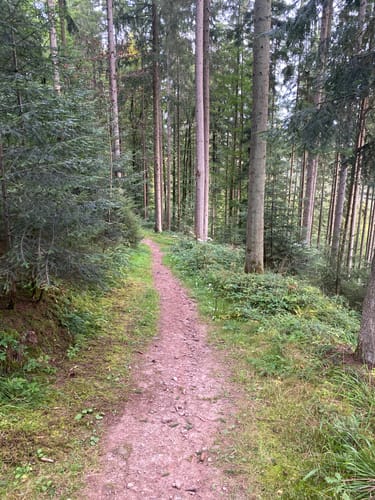 Altensteig - Hornberg