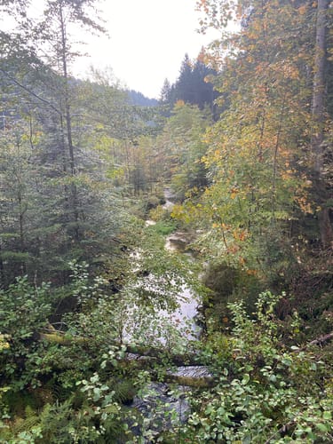 Altensteig - Hornberg