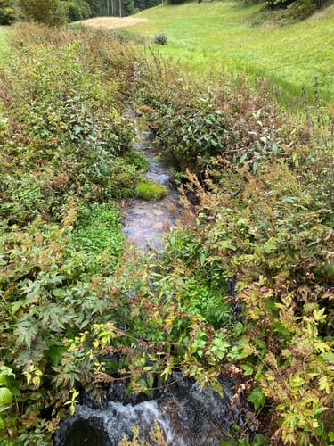 Altensteig - Hornberg