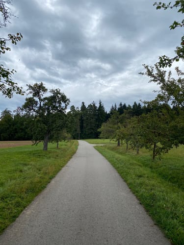 Altensteig - Hornberg