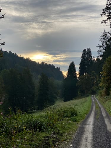 Altensteig - Hornberg