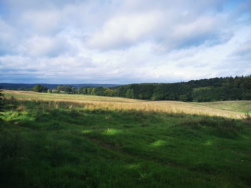 Nordic Walking 6S Egestorf