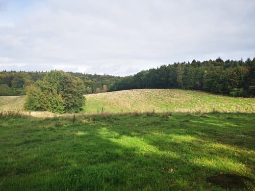 Nordic Walking 6S Egestorf