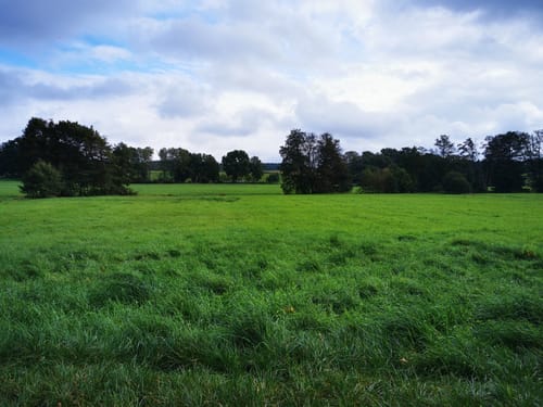 Nordic Walking 6S Egestorf