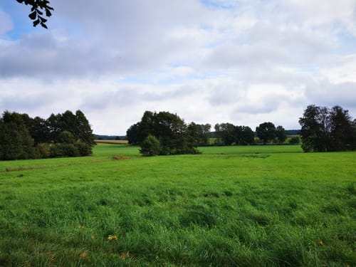 Nordic Walking 6S Egestorf