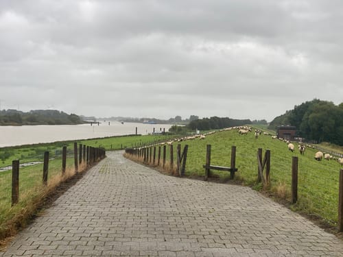 Groot Frieslandpad Etappe 23: Papenburg - Leer