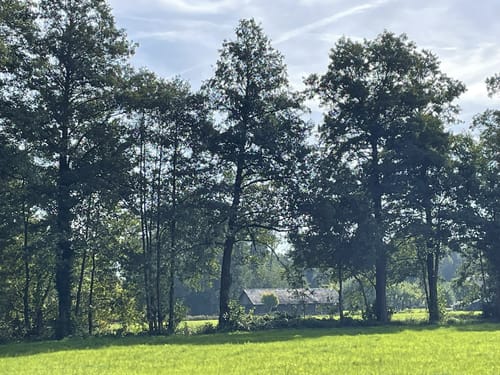 Burg Runde im Spreewald