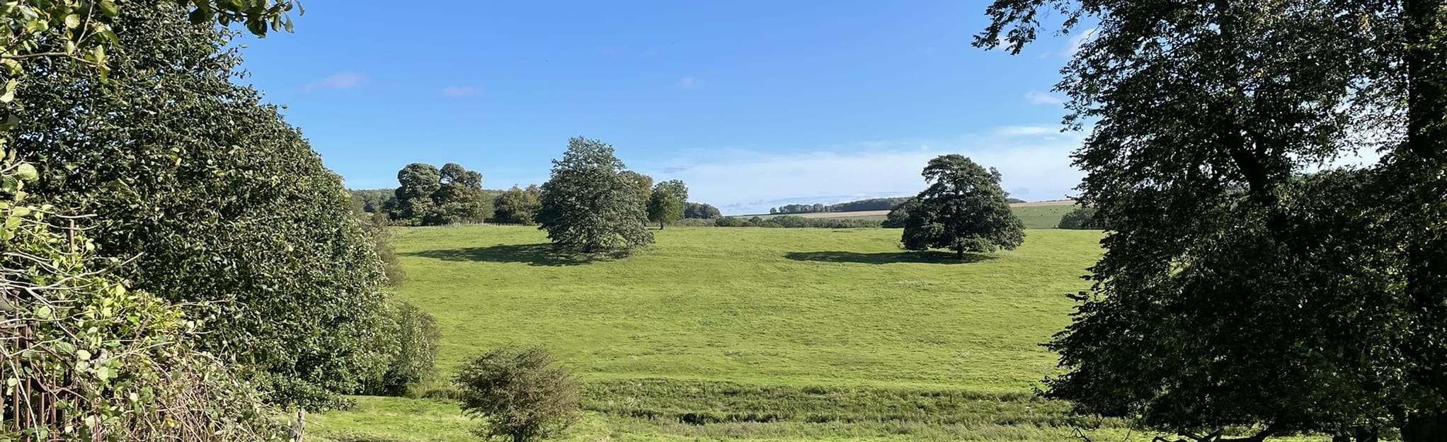 Londesborough Park Circular, East Riding of Yorkshire, England 48 Reviews, Map AllTrails