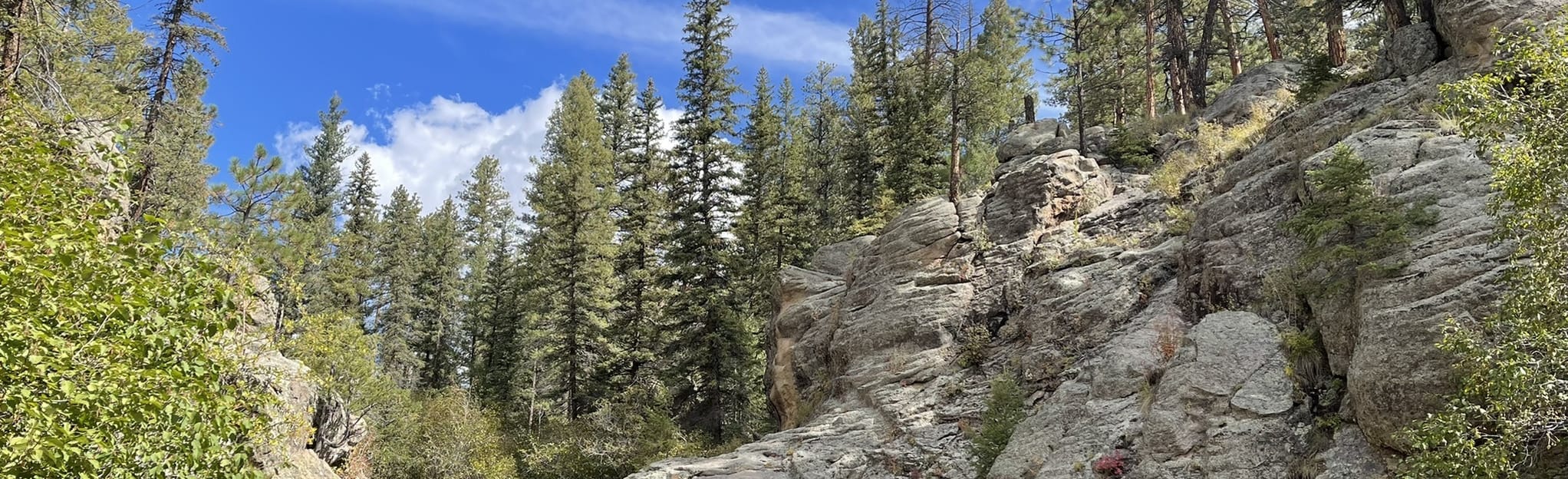 Jemez Falls Trail, New Mexico 590 Reviews, Map AllTrails