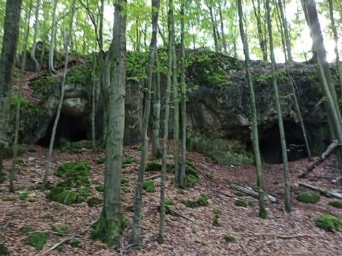 Am Schloss Hohenstein