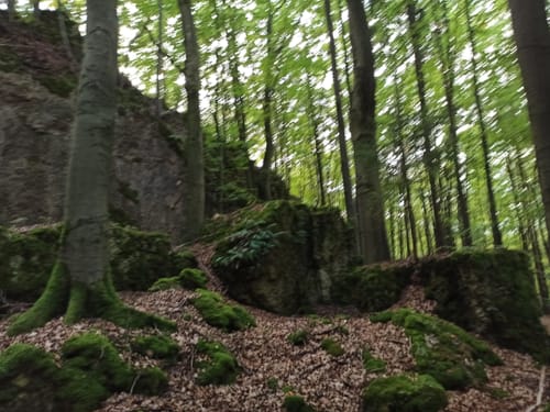 Höhlenrundweg